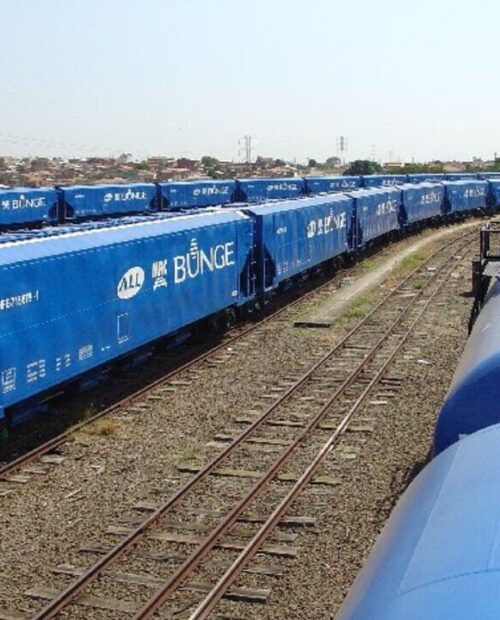 Linha de ferrovia com trens de vagões na cor azul